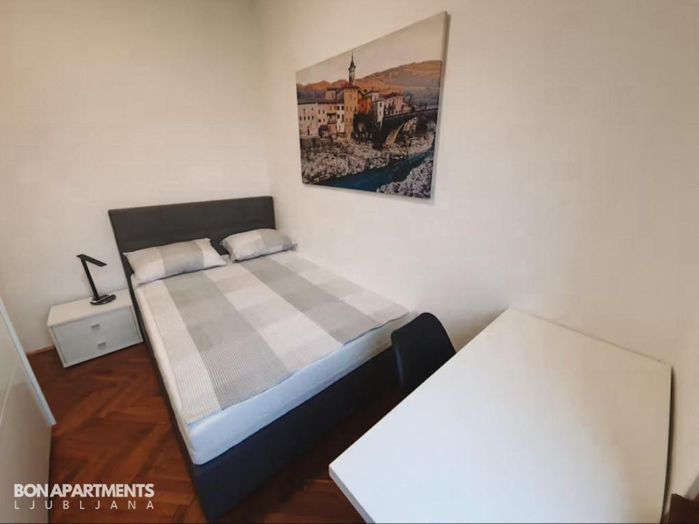 Huge Bbq Garden 2, Spacious Flat, Ac, Free Parking 2 Lublana Zewnętrze zdjęcie
